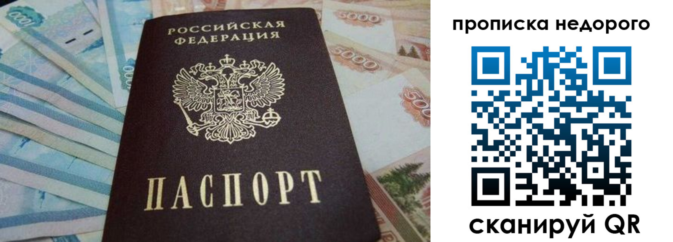 временная регистрация поиск в Завитинске